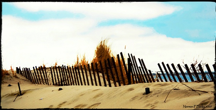 Dunes at Plum Beach