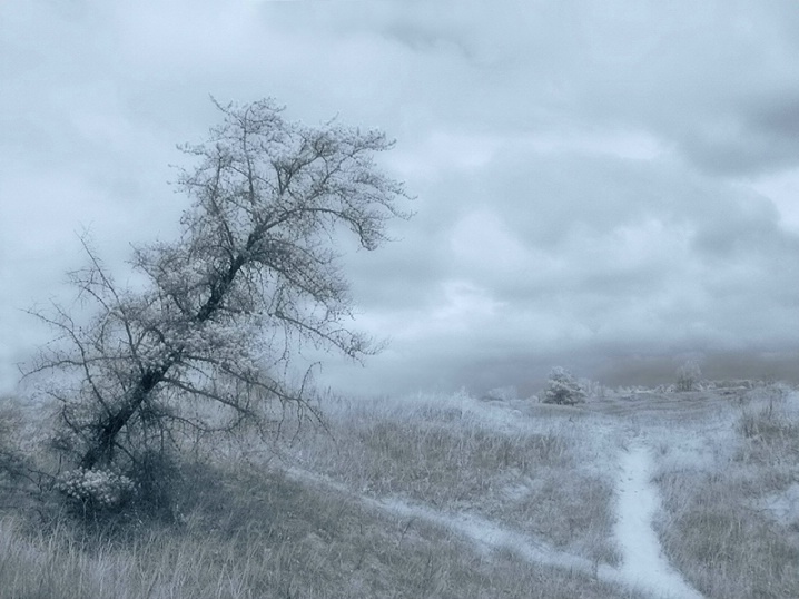 those faraway whispers...