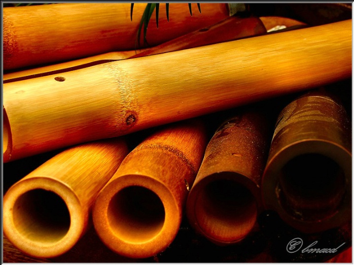 Bamboo Rounds