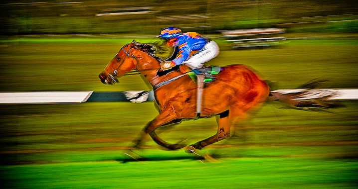 Horse & Jockey