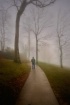 Searching ...