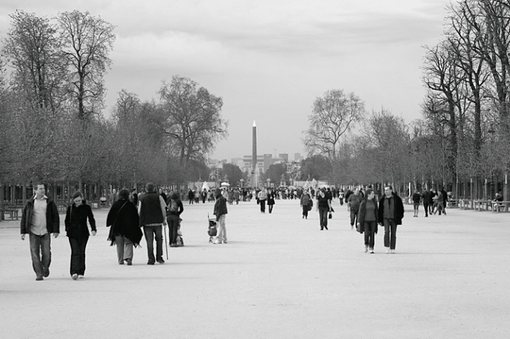 Jardin des Tuileries  - ID: 5971567 © John D. Jones