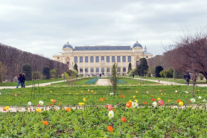 Jardin des Plantes - ID: 5971611 © John D. Jones