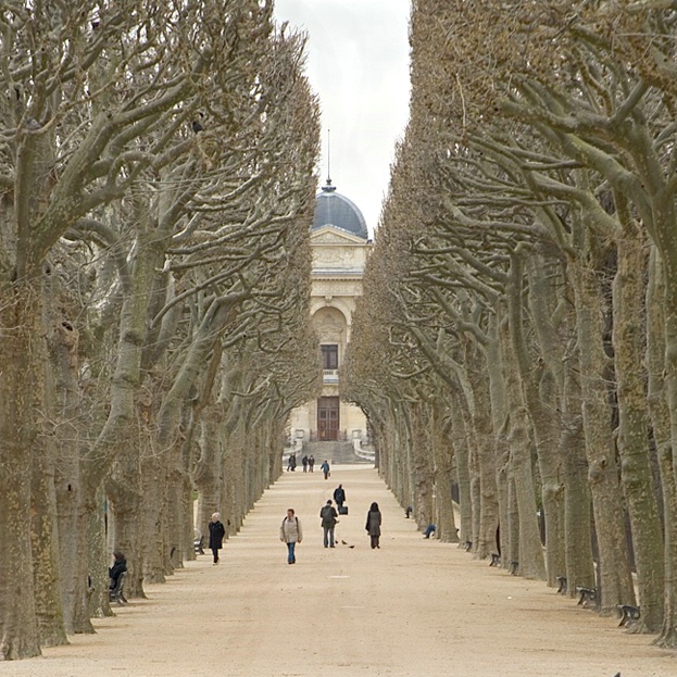 Pathway in the Jardin des Plantes - ID: 5971620 © John D. Jones