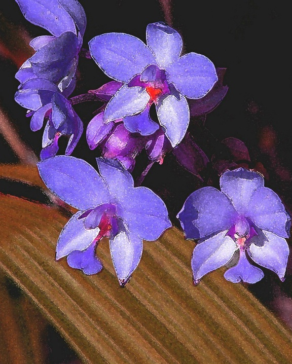 Painted Orchids in Blue