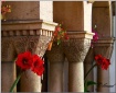 Columns and Flowe...