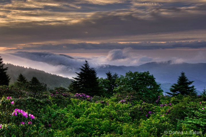 Father's Day Sunrise