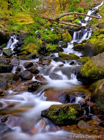 Starvation Creek Falls