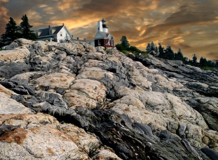 Pemaquid's Pretty!!