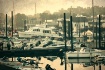 Harbor Dawn