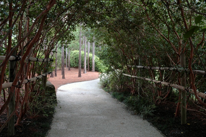 An Arbor Covered Walkway to 