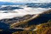 Trail Of Fog