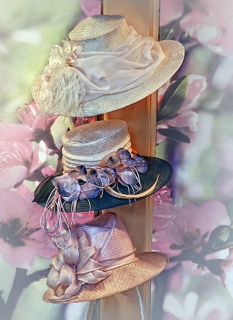 Hat Shopping