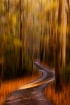 Goodbye Autumn