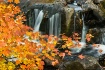 Framed By Fall