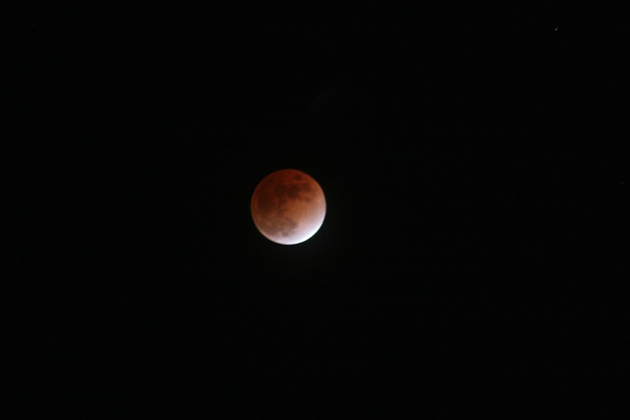 Lunar Eclipse - ID: 7363217 © Farrin Manian