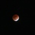 © Farrin Manian PhotoID# 7363217: Lunar Eclipse