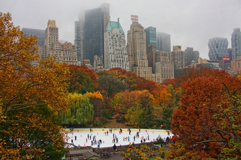 Skaters in Central Park