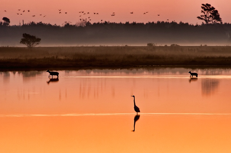 The Crossing