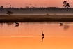 The Crossing
