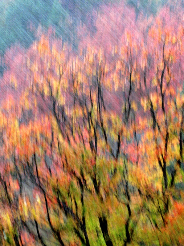 Autumn Deluge