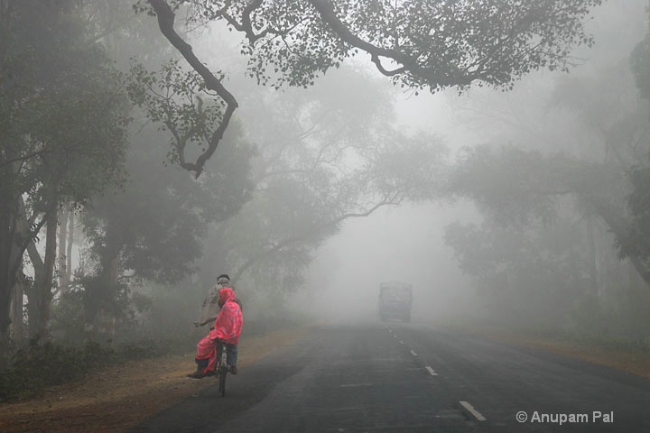On a foggy road