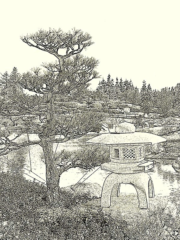 Kasuga Lantern and Pine Sketch
