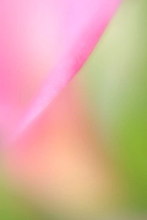 img2