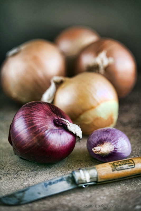 Onion Still Life