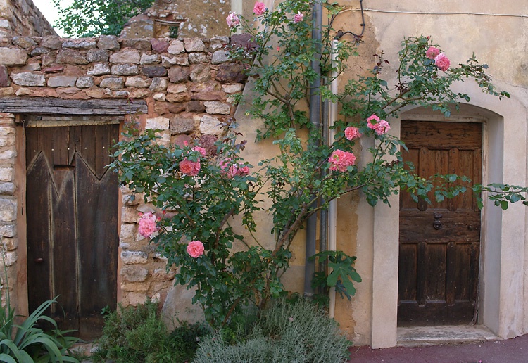 Rose Doorways, Rousillon