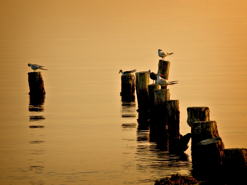 Early Morning Calm Sea