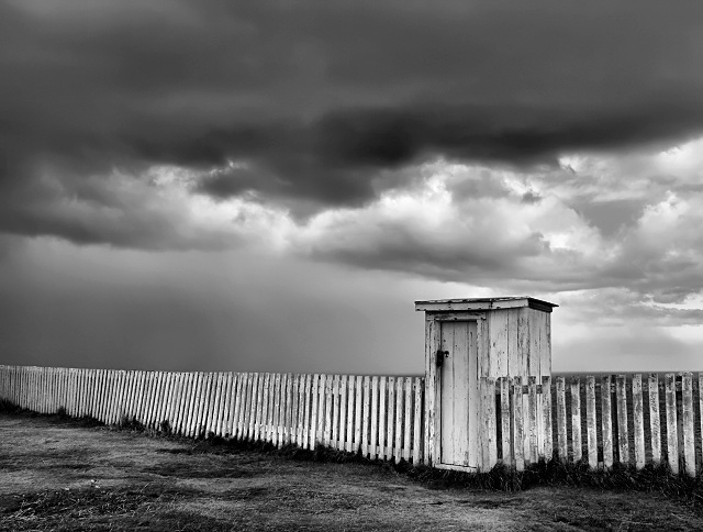 Along the Fence