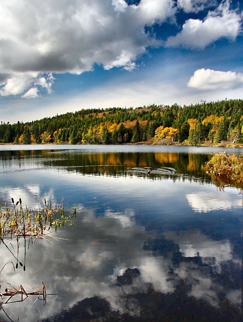 Autumn Reflections