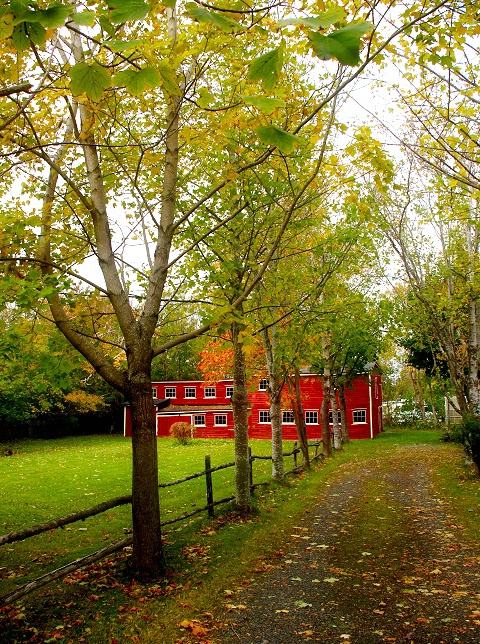 Barn in Autumn