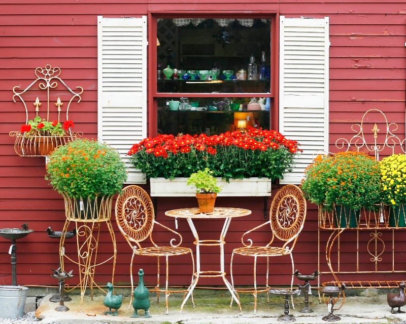 antique store mums