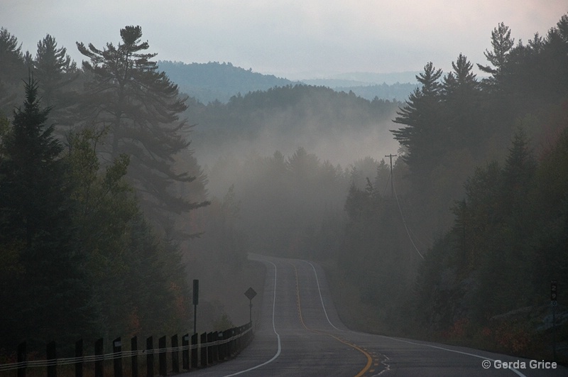 Into the Mist - ID: 9389088 © Gerda Grice