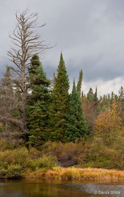 Rain Clouds Blowing In - ID: 9389208 © Gerda Grice