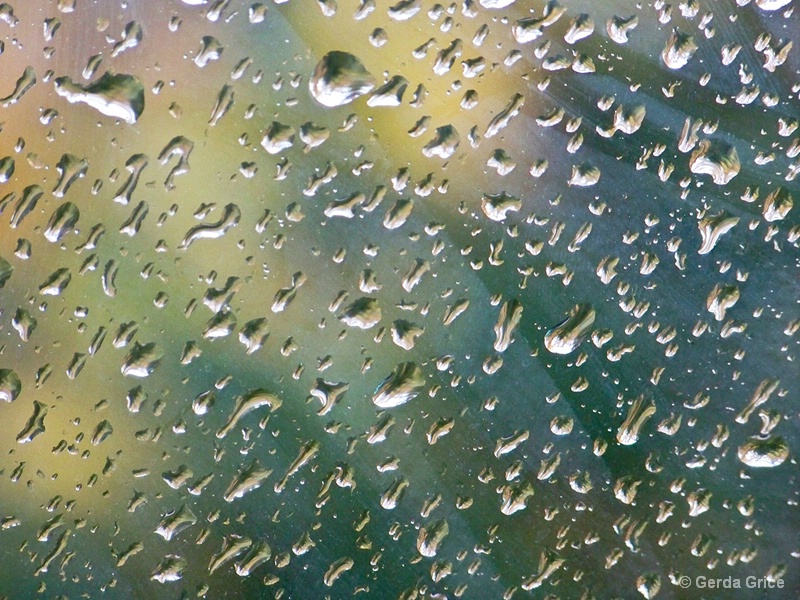 Raindrops on Windshield 5 - ID: 9389210 © Gerda Grice