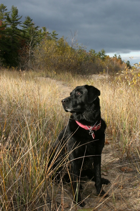 In her element