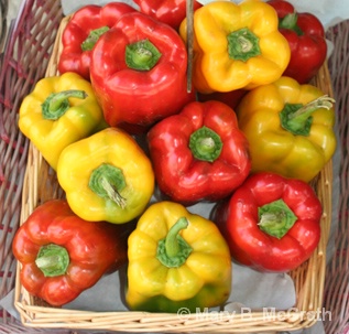 Peppers - ID: 9613397 © Mary B. McGrath