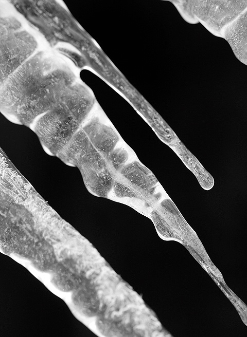 Icicle Abstract