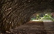 Seeing the Garden...