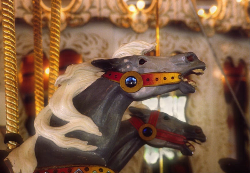 grey carousel horses