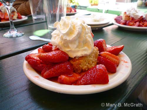 Strawberry Shortcake - ID: 10188853 © Mary B. McGrath