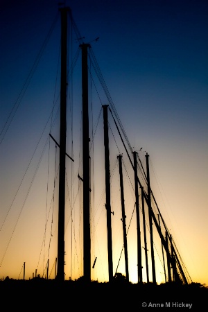 The Masts at Sunset