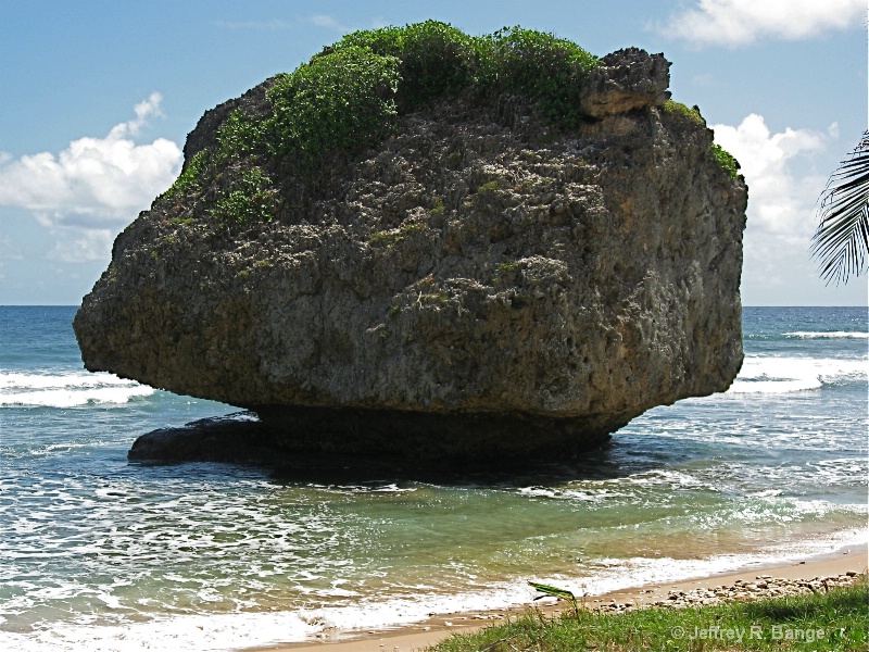"Bathsheba Rock - Barbados