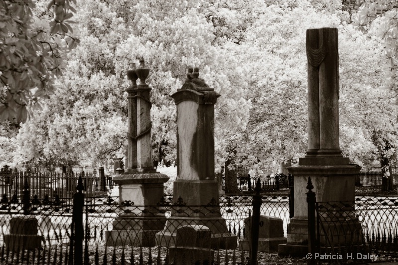 Magnolia Cemetery-Duotone