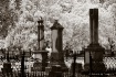 Magnolia Cemetery...