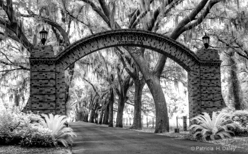 Bethesda Arch