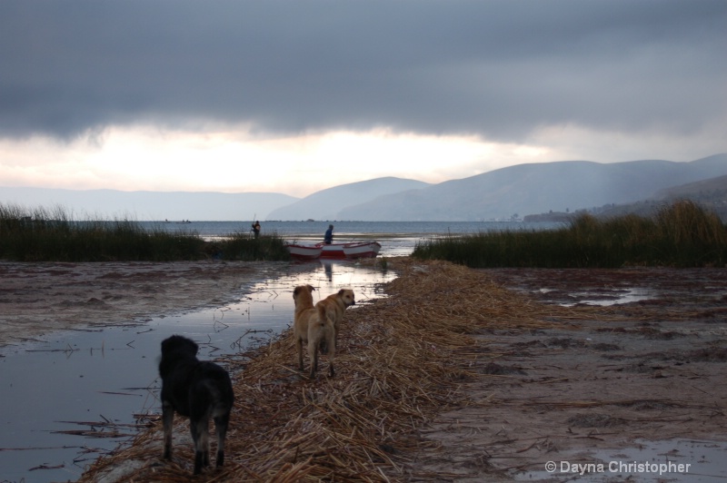 early a.m. shores of lake titicaca